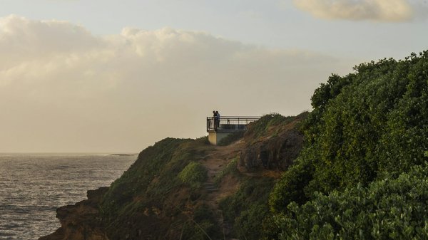 Où pratiquer le snorkeling au milieu des raies manta à Hawaii ?